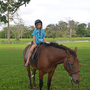 horses